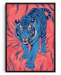 O Tigre de Safira