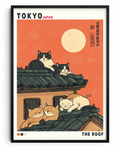 O Descanso dos Gatos