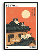 O Descanso dos Gatos