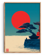 O Bonsai sob o Sol