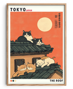 O Descanso dos Gatos