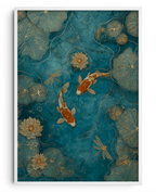 Harmonia Koi