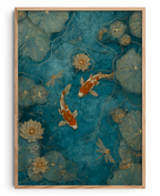 Harmonia Koi