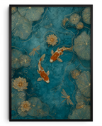 Harmonia Koi